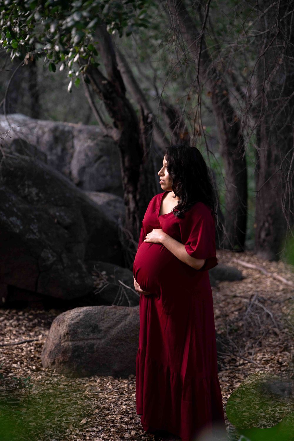 Maternity session dosc picos park, dark moody vibes