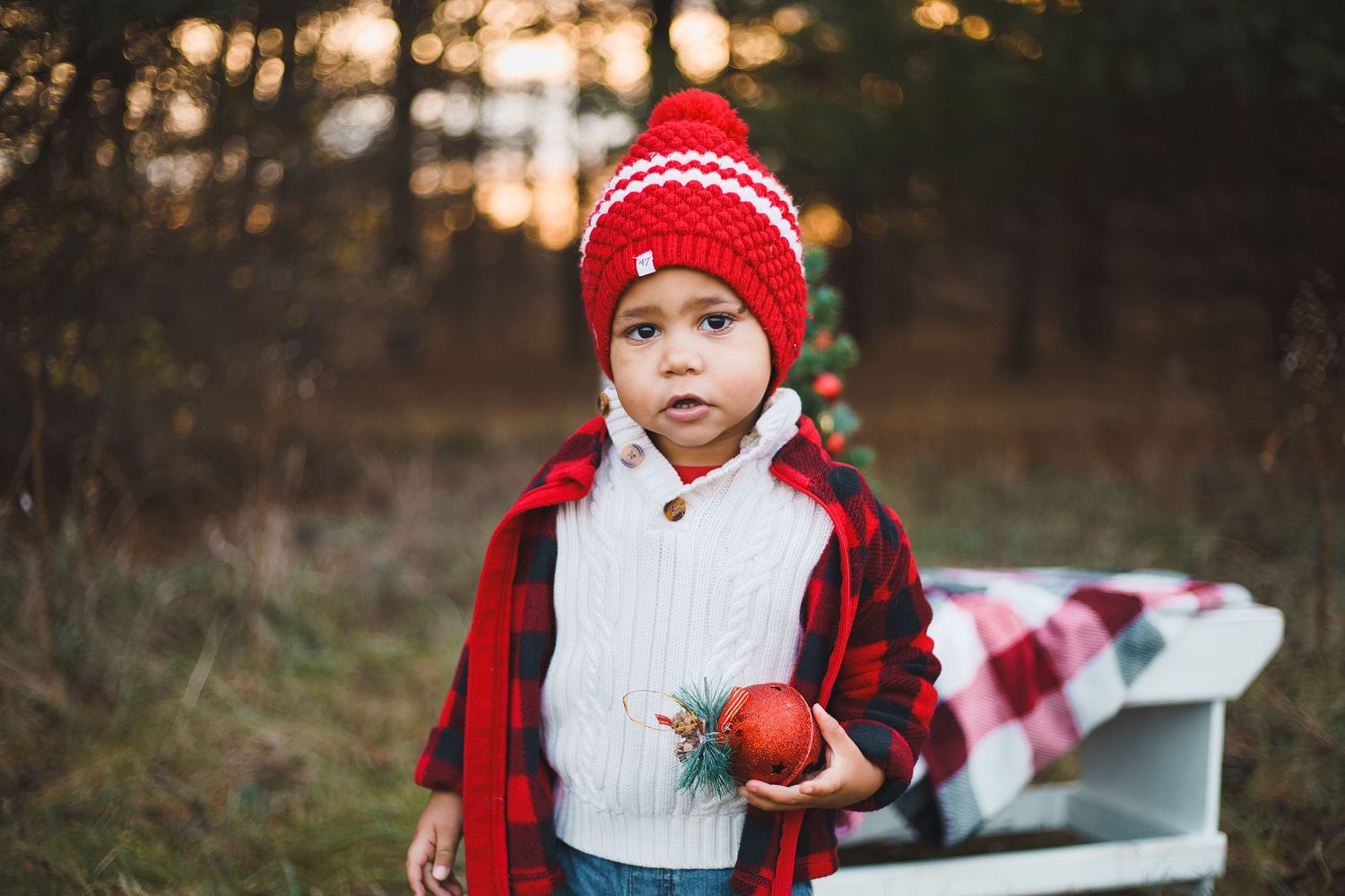token creek county park deforest madison wi family photography christmas mini session toddler holding red ornament plaid
