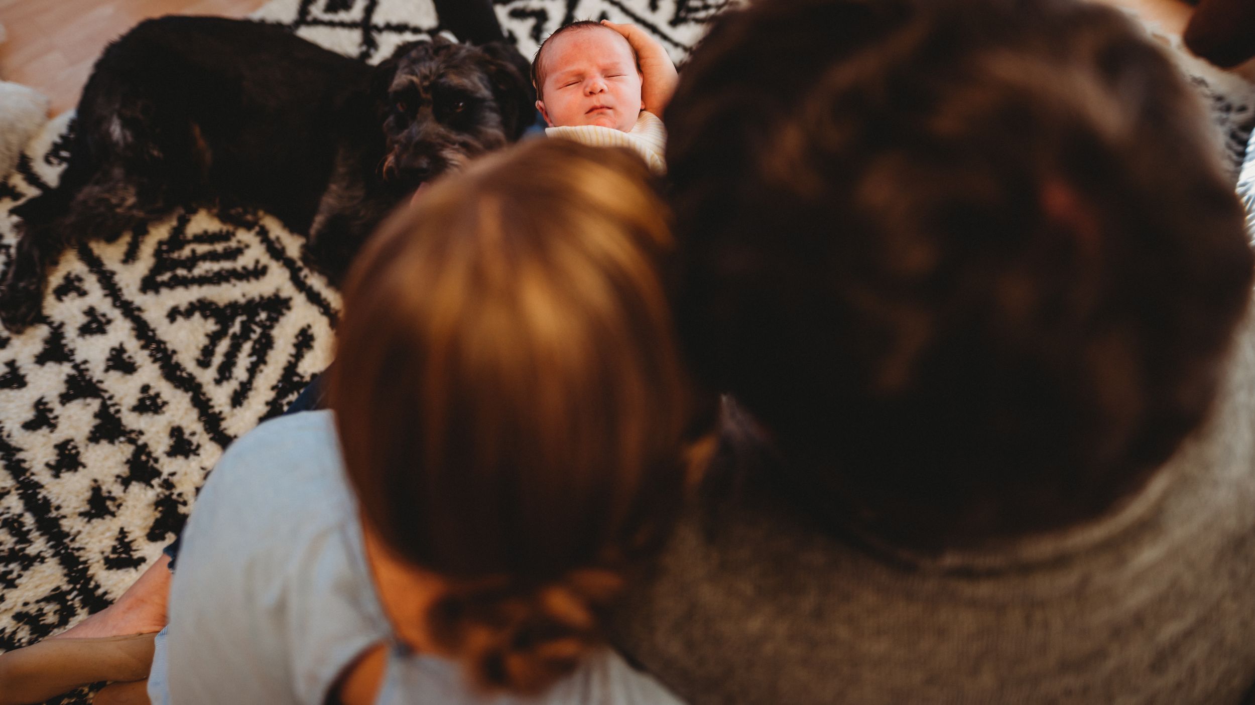 Springfield Missouri Newborn Photographer