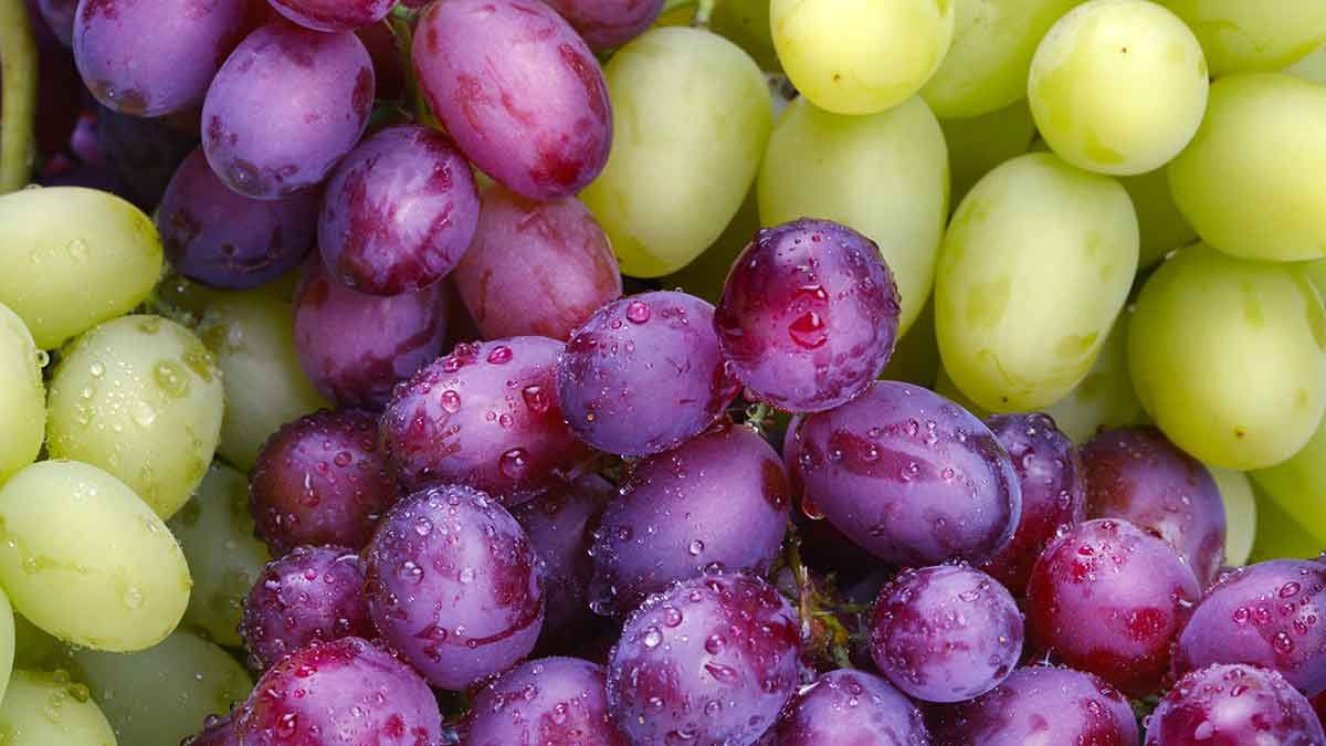 Pick Your Own Grapes