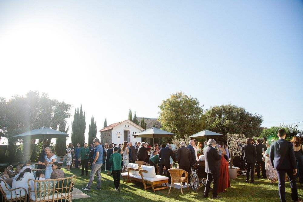 Outdoor wedding reception setup with guests mingling on a lawn with cypress trees.