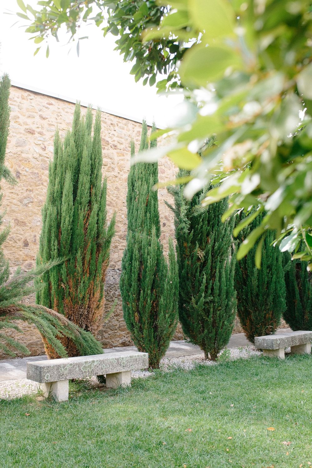 Row of tall cypress trees against a stone wall with garden benches.