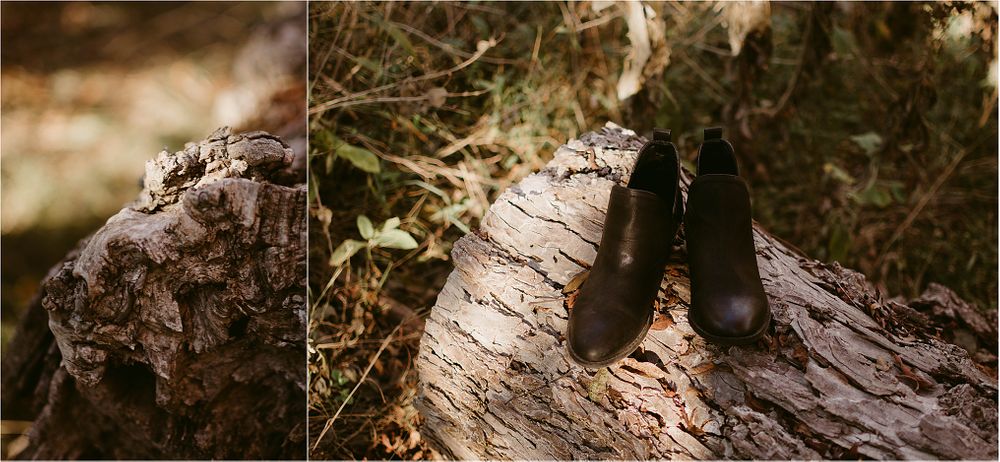 Black boots standing on a fallen birch log in the woods.