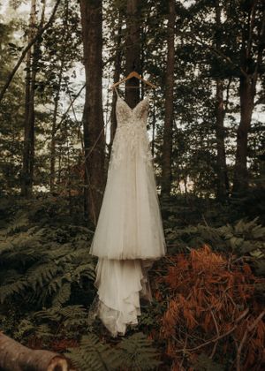 Michigan Elopement Photographer | Creative Art By Bree