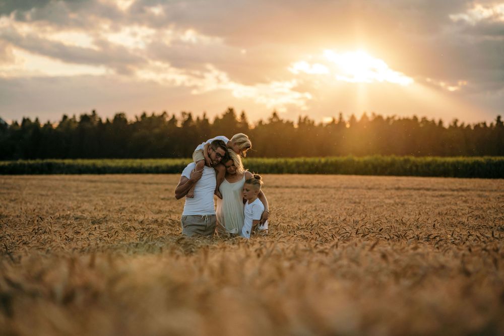 Two figures and a dog share an intimate moment in a wheat field during golden hour.