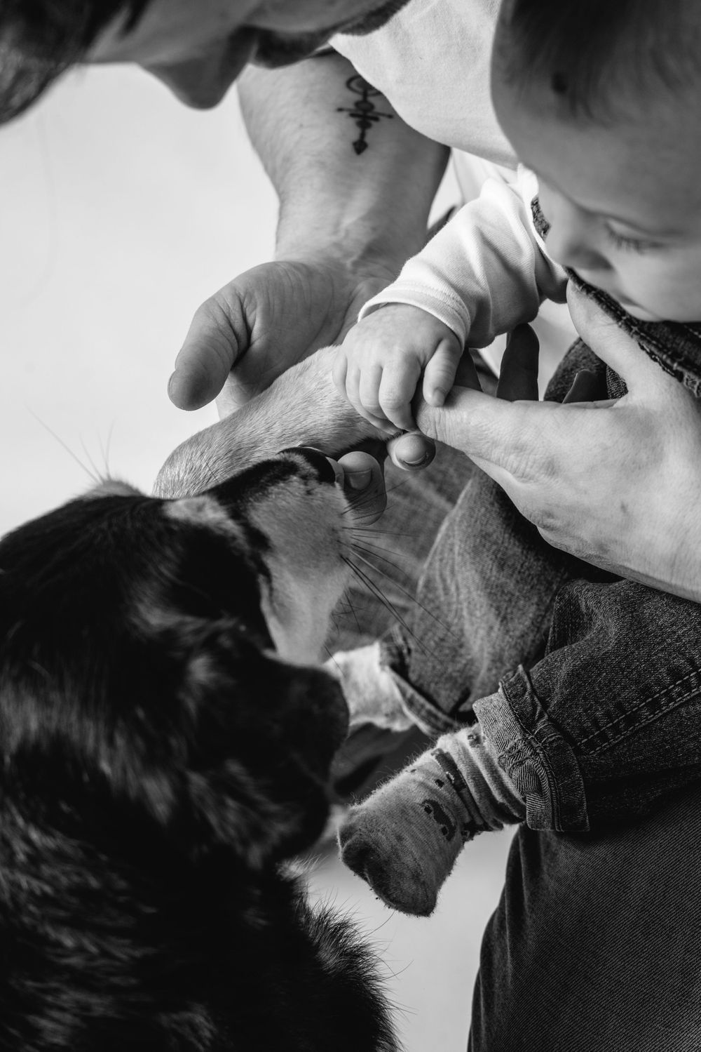 Close-up black and white sequence showing affectionate interaction between a dog and person.