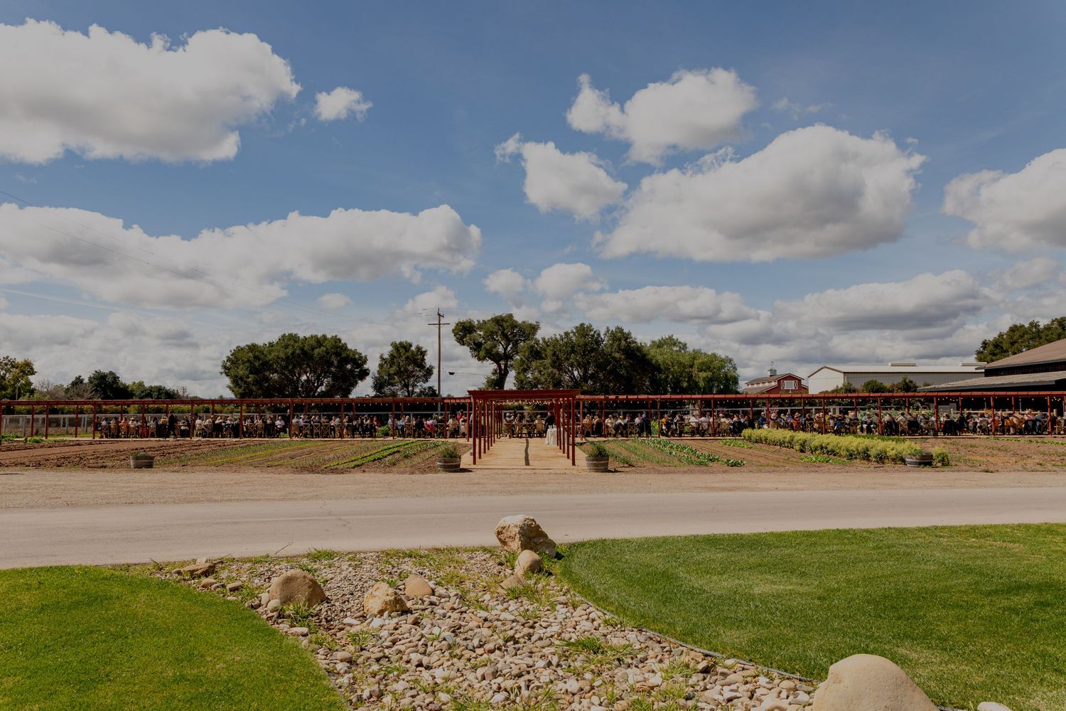 Roblar Farm | Women in Wine, Central Coast | Wine Brunch | International Women's Day Celebration