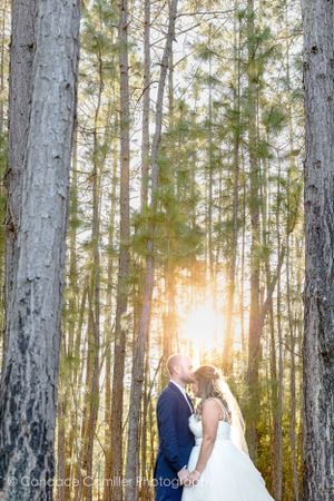 A captivating wedding moment in a forest, surrounded by nature's beauty, where love and matrimony unite amidst the trees
