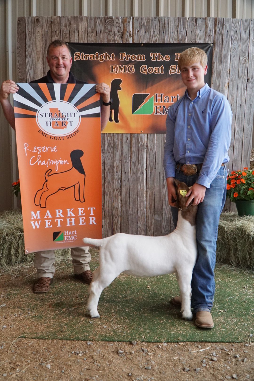 Reserve Champion Market Wether