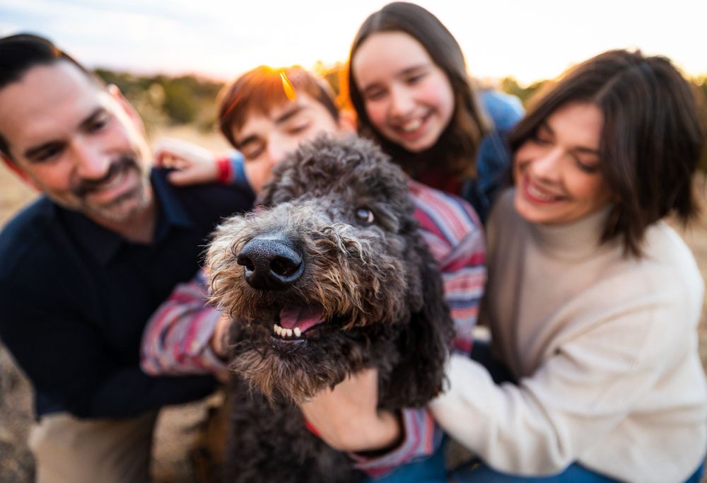 A happy family snuggles close with their shaggy black dog outdoors.
