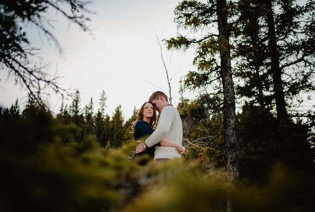 Intimate moment between couple among pine trees with sunlight filtering through branches.