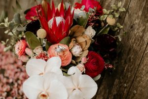 Central Coast Wedding Photographer
Central Coast Wedding Photography