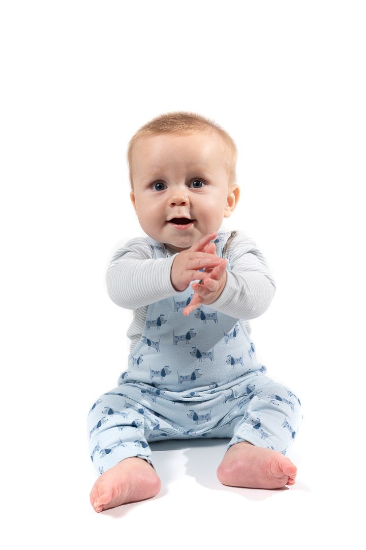 A boy toddler sits and claps his hands while wearing a grey top and blue dungarees against a white backdrop.