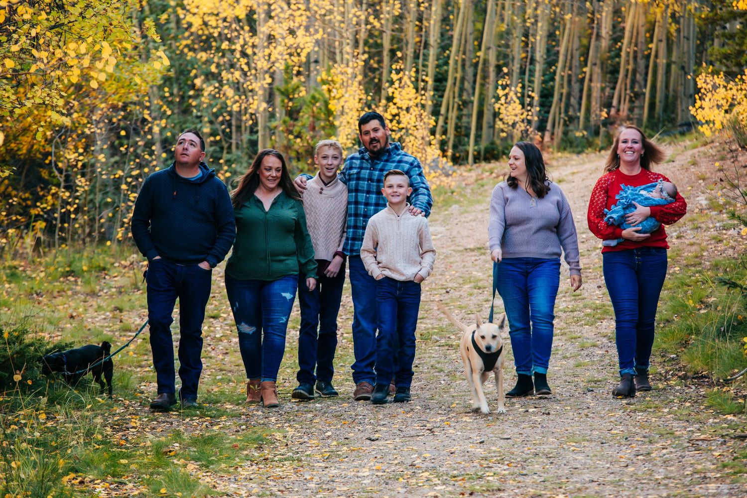 Family and dog walking together on a trail surrounded by golden fall foliage in the mountains.