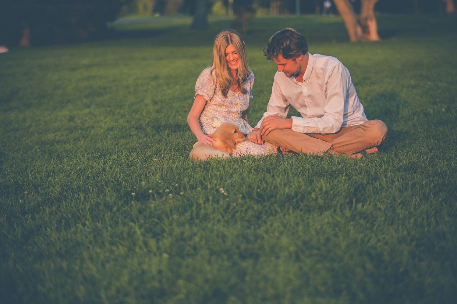 Couple sitting on grass with their golden retriever puppy at sunset.