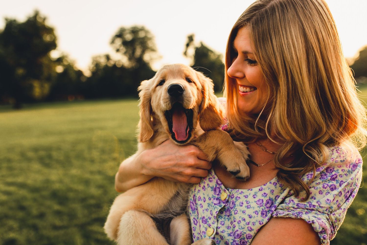 Woman in floral dress cuddles happy golden retriever puppy outdoors during sunset.