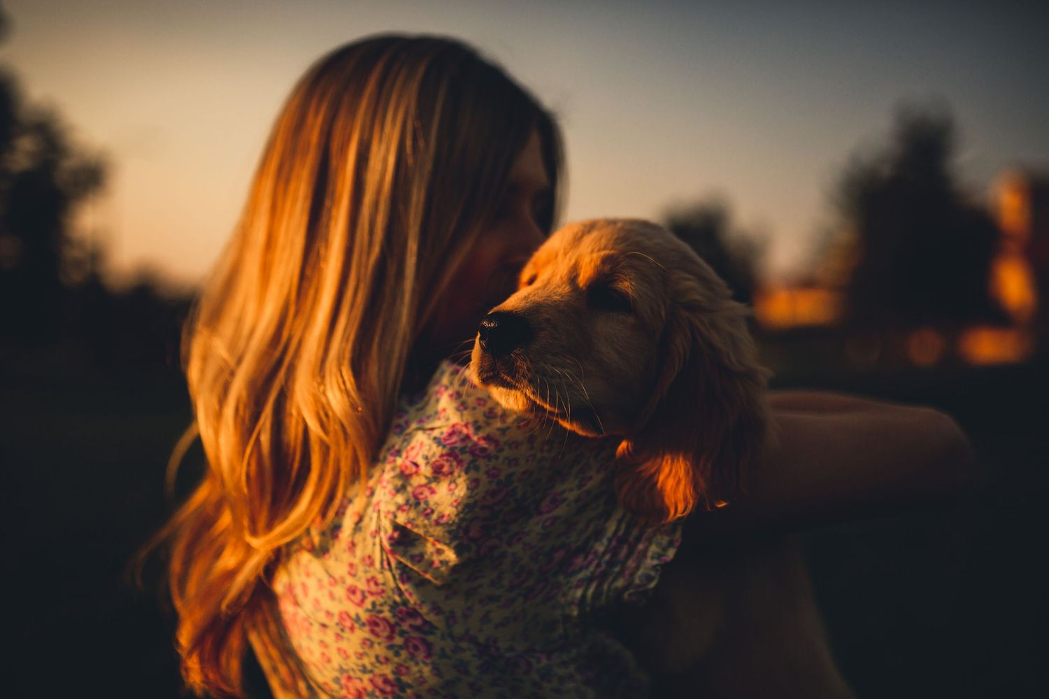 Woman with long hair holds her golden retriever during golden hour sunset.