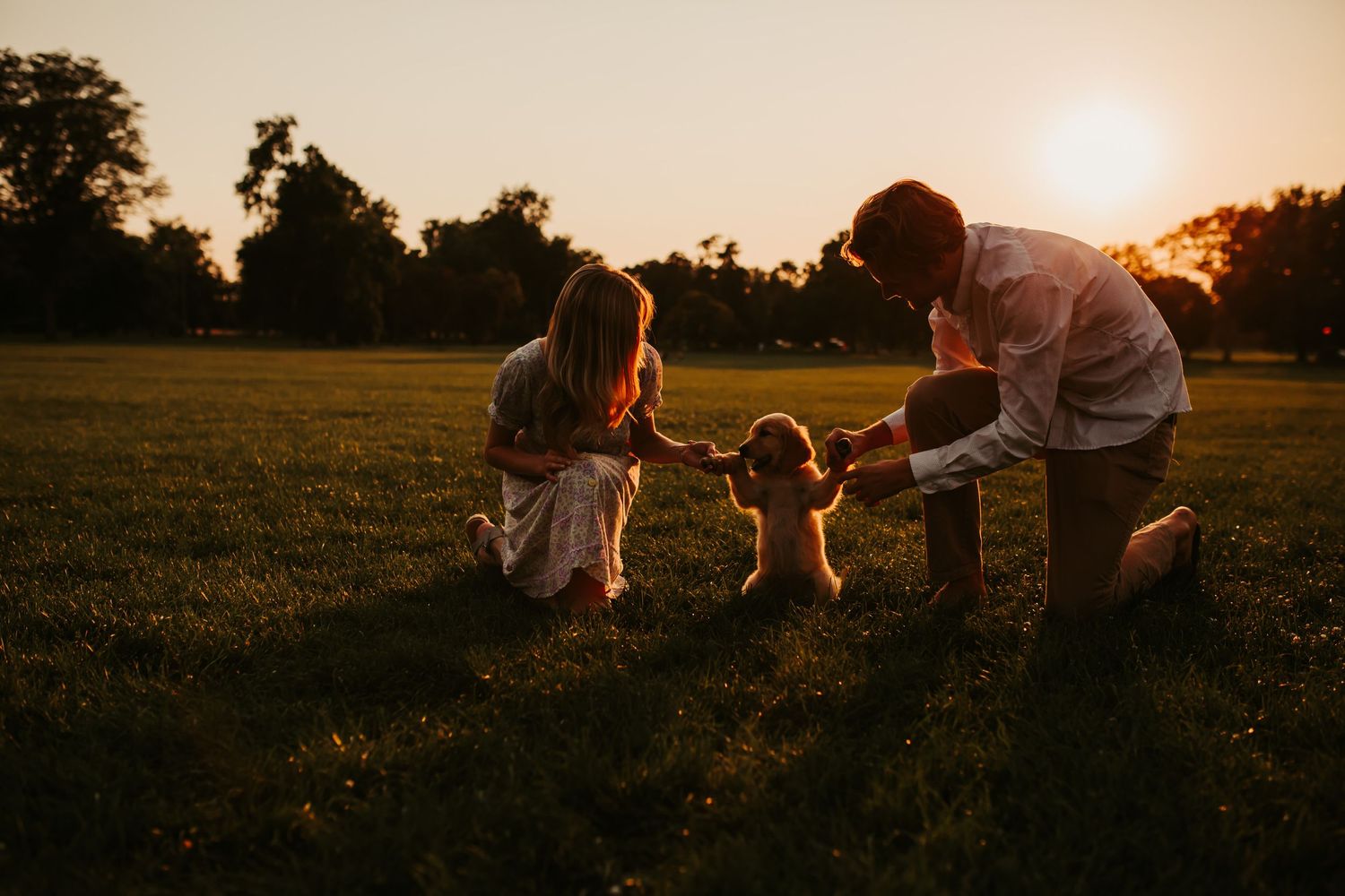 Family plays with their puppy in a field at sunset creating silhouettes against the evening sky.
