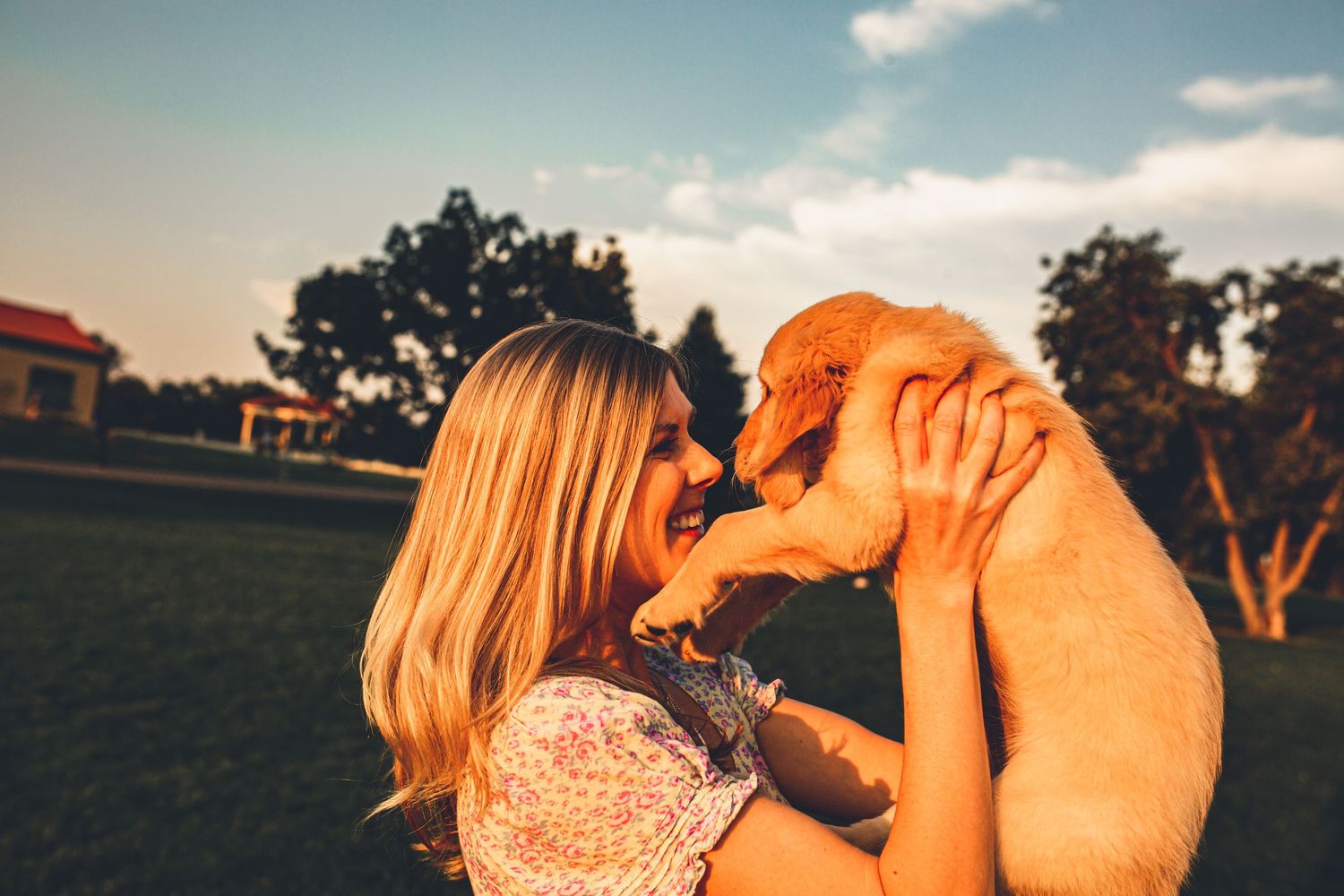 Woman lifts golden retriever puppy in air during playful moment outdoors.