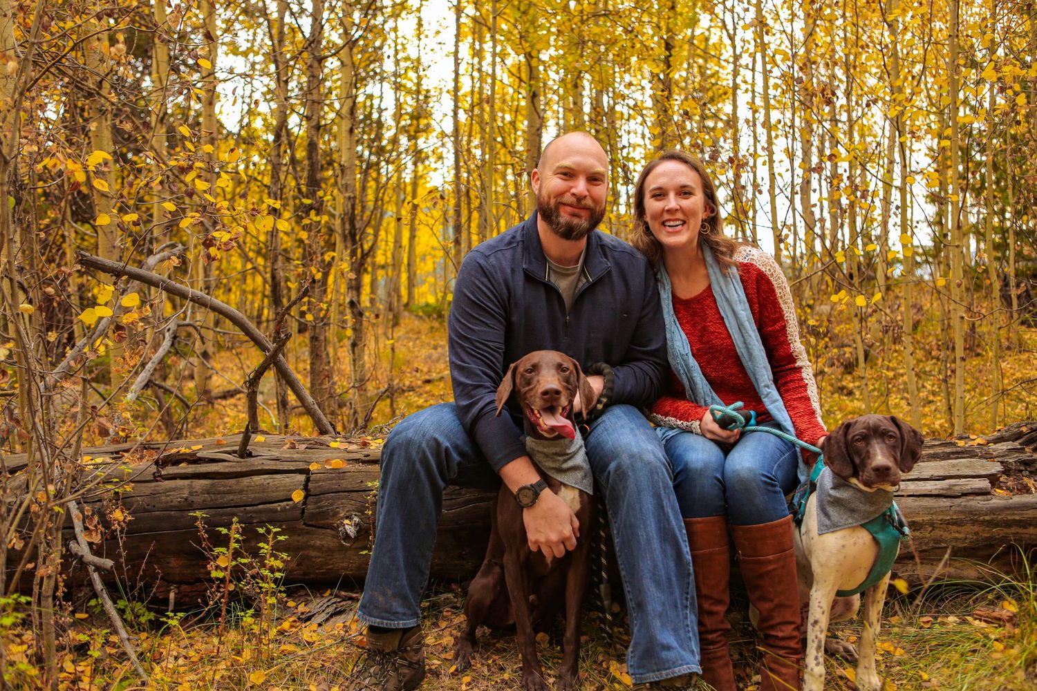 Couple sits on fallen log with their two dogs in autumn forest with golden aspens.