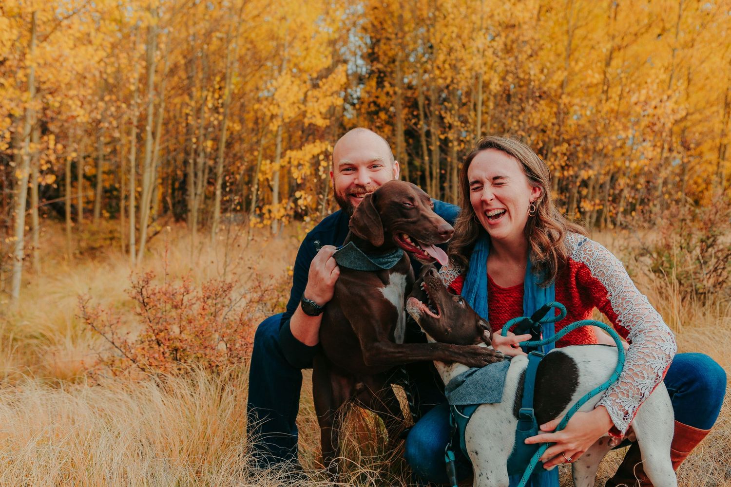 Couple laughing with their dogs among golden aspen trees in fall.
