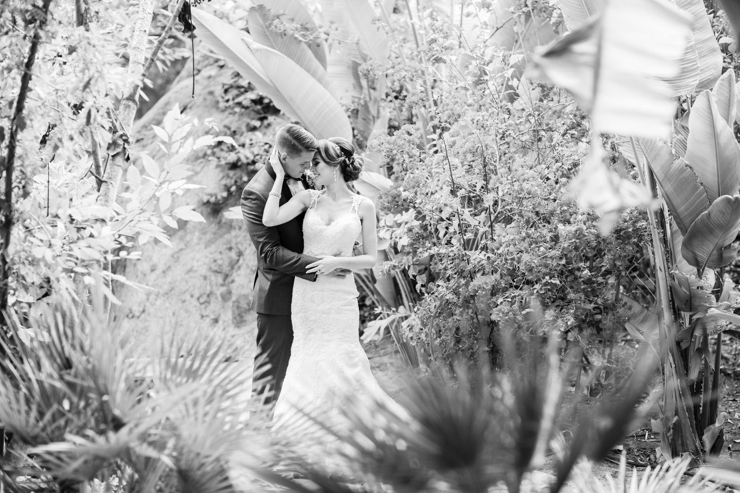 Shane Fellows Photography Paradise Falls Wedding