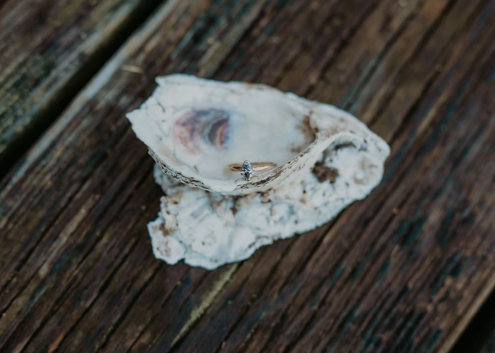 Diamond engagement ring displayed on a rustic oyster shell on weathered wood.