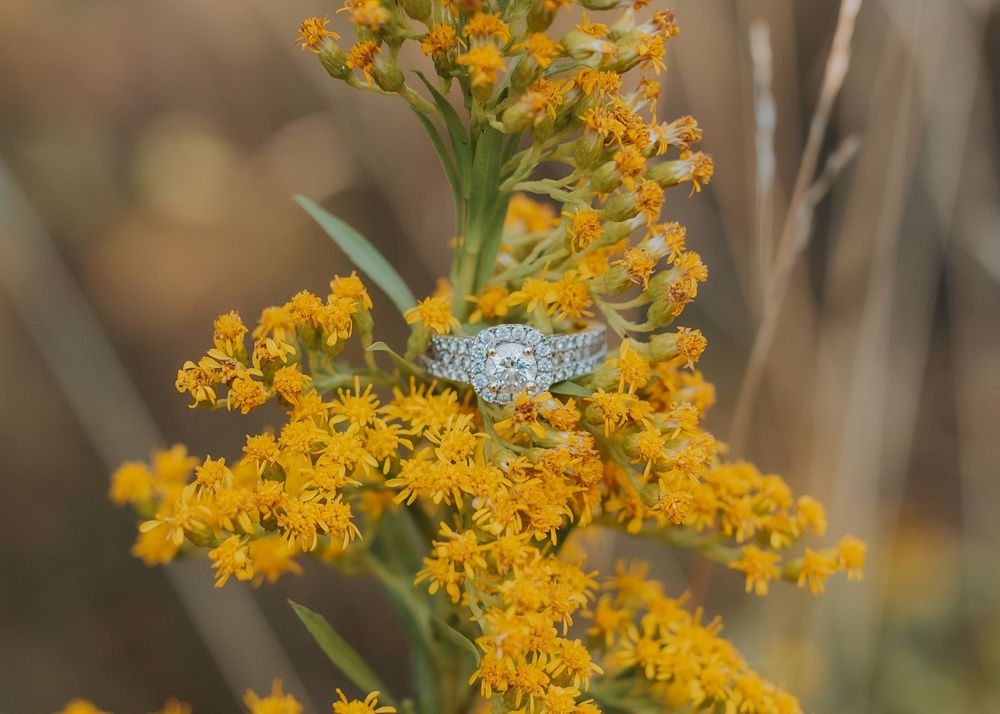Sparkling diamond engagement ring resting on vibrant yellow wildflowers in autumn field.