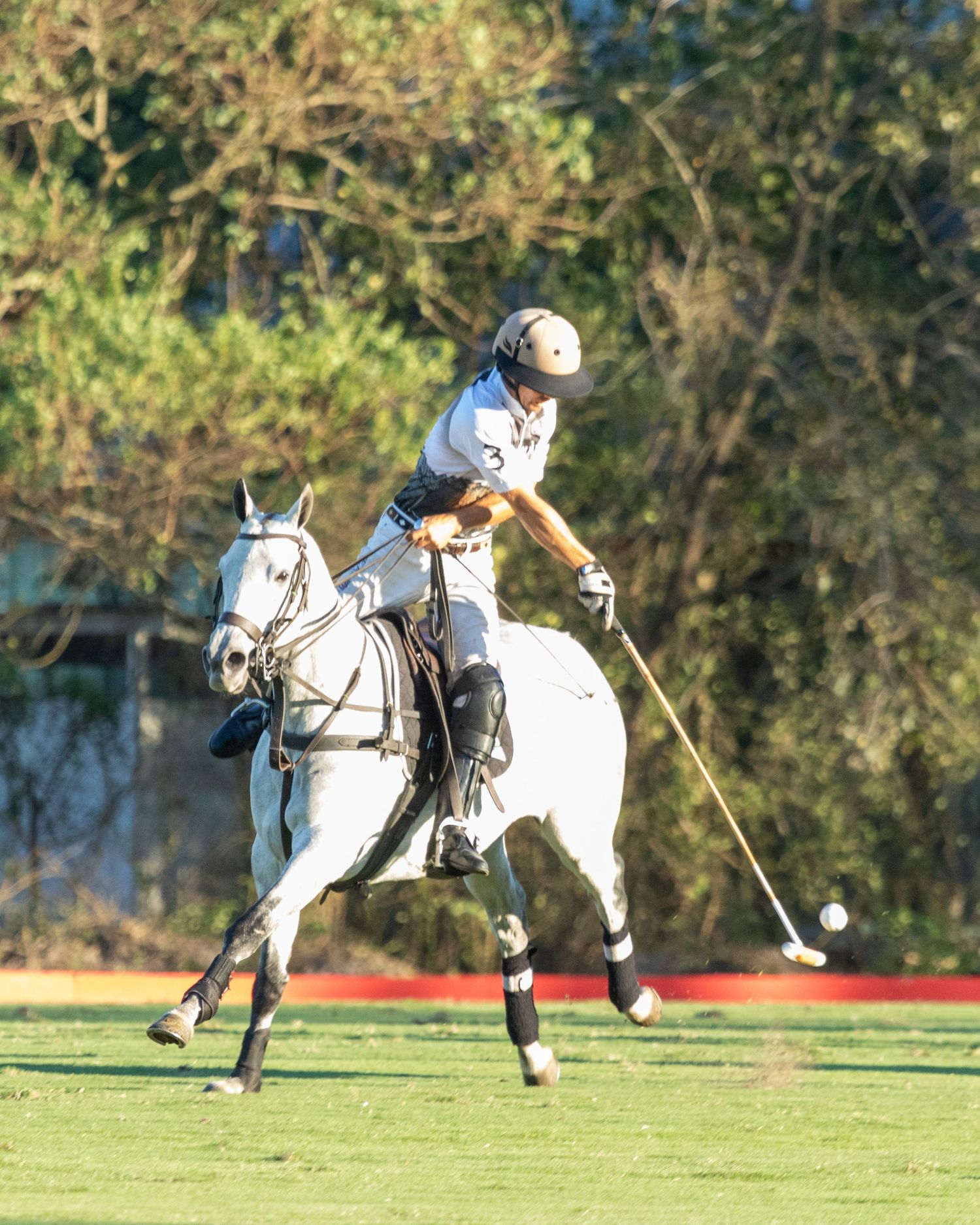 Polo Mason Wroe