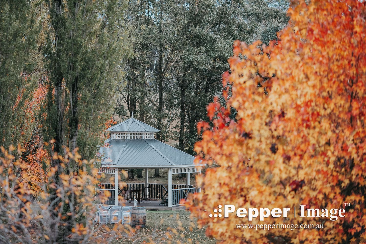 White gazebo framed by vibrant red and orange autumn foliage in a tranquil garden setting.