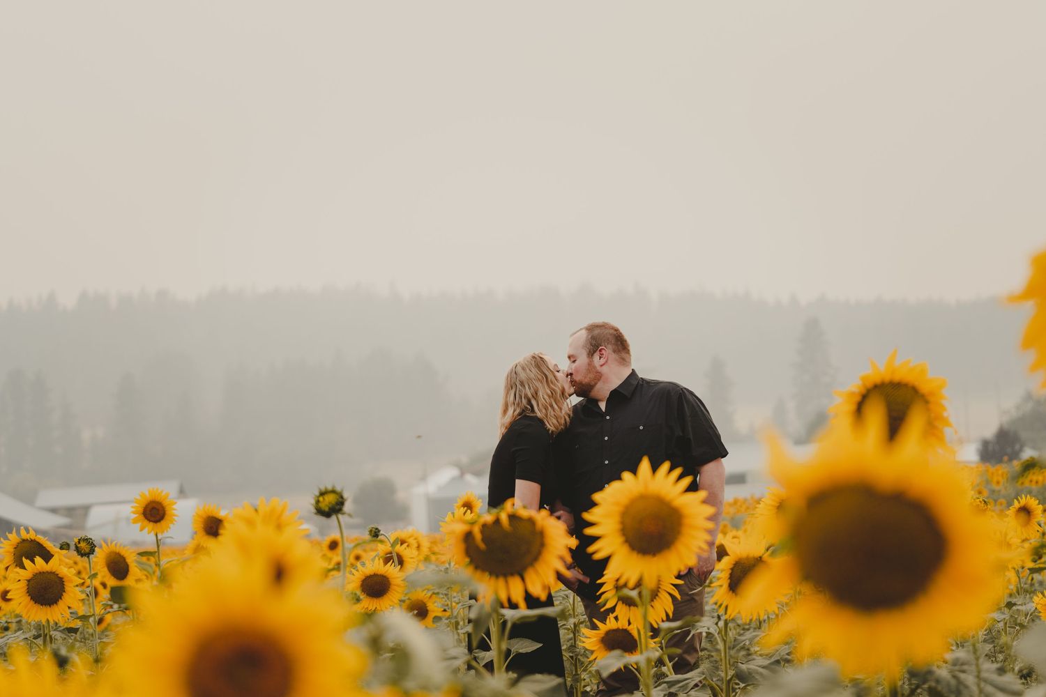 A couple shares a tender moment in a sunflower field on a misty day.
