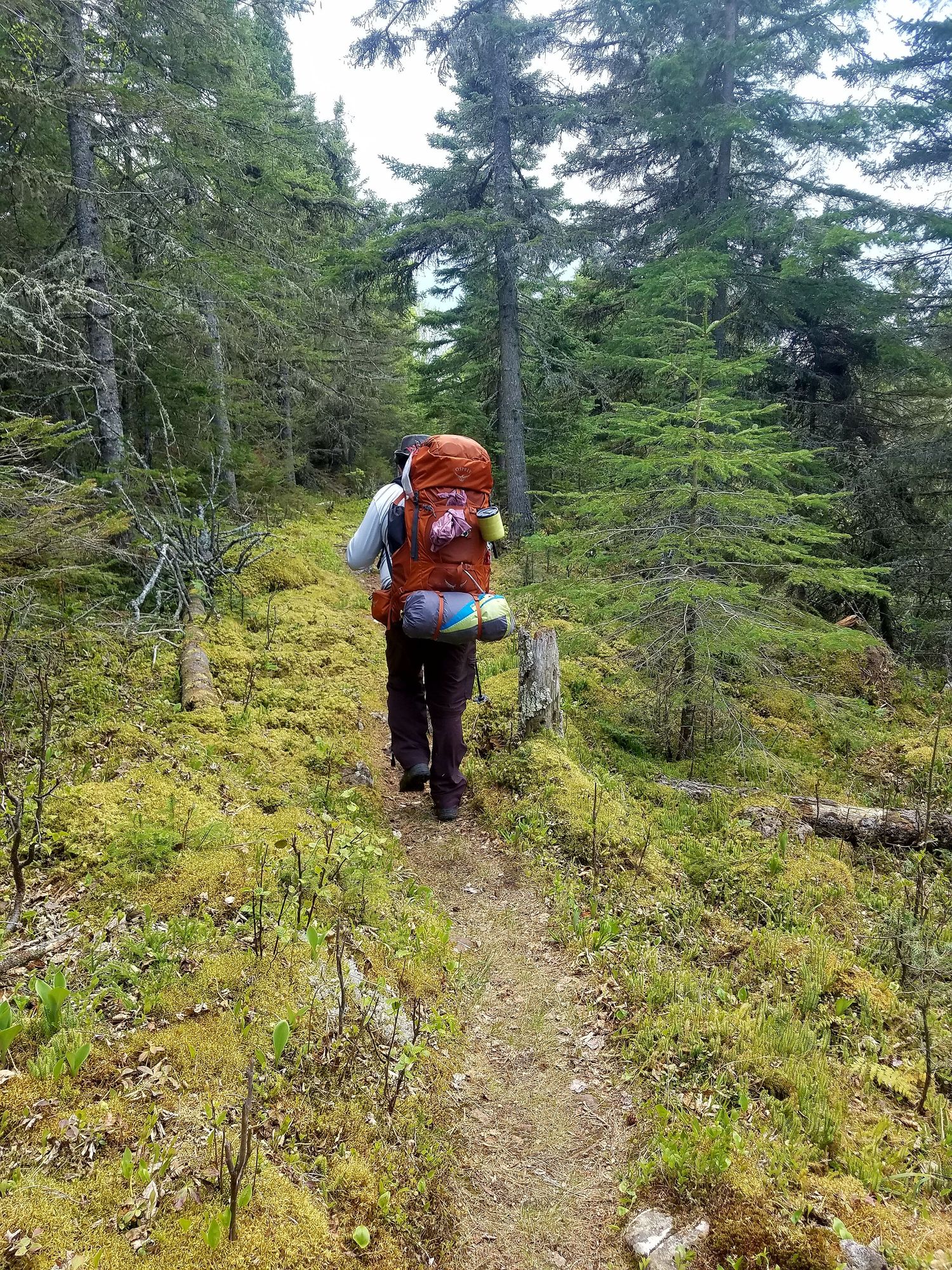 Image of Cory J. Cravatta backpacking in Isle Royale National Park, Michigan