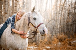 horse-photography-red-deer-alberta-pet-photographer