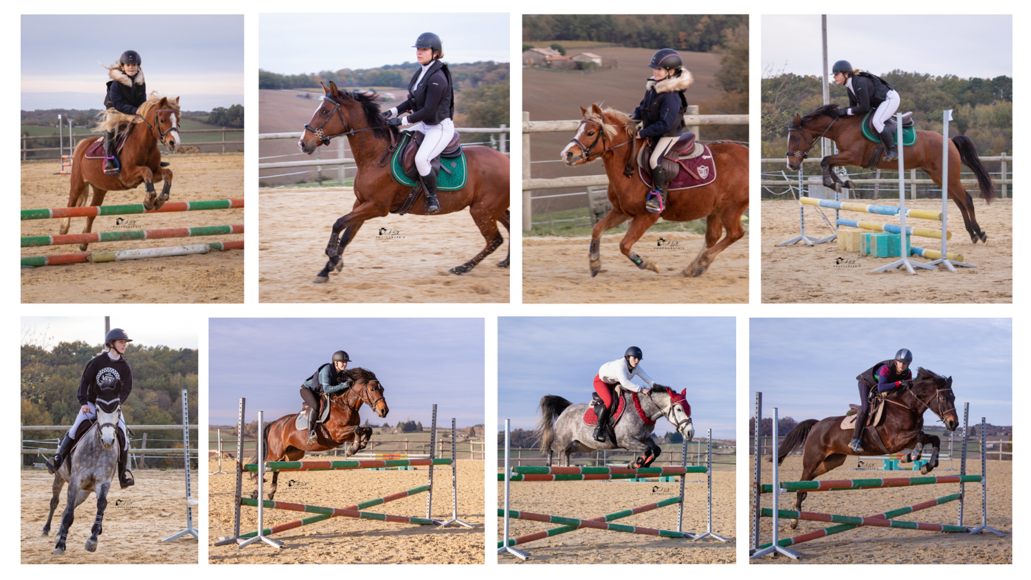 photographie équestre cso lot et garonne