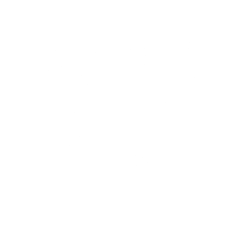 A decorative white line art design of a bull skull with ornate flourishes and a camera icon.