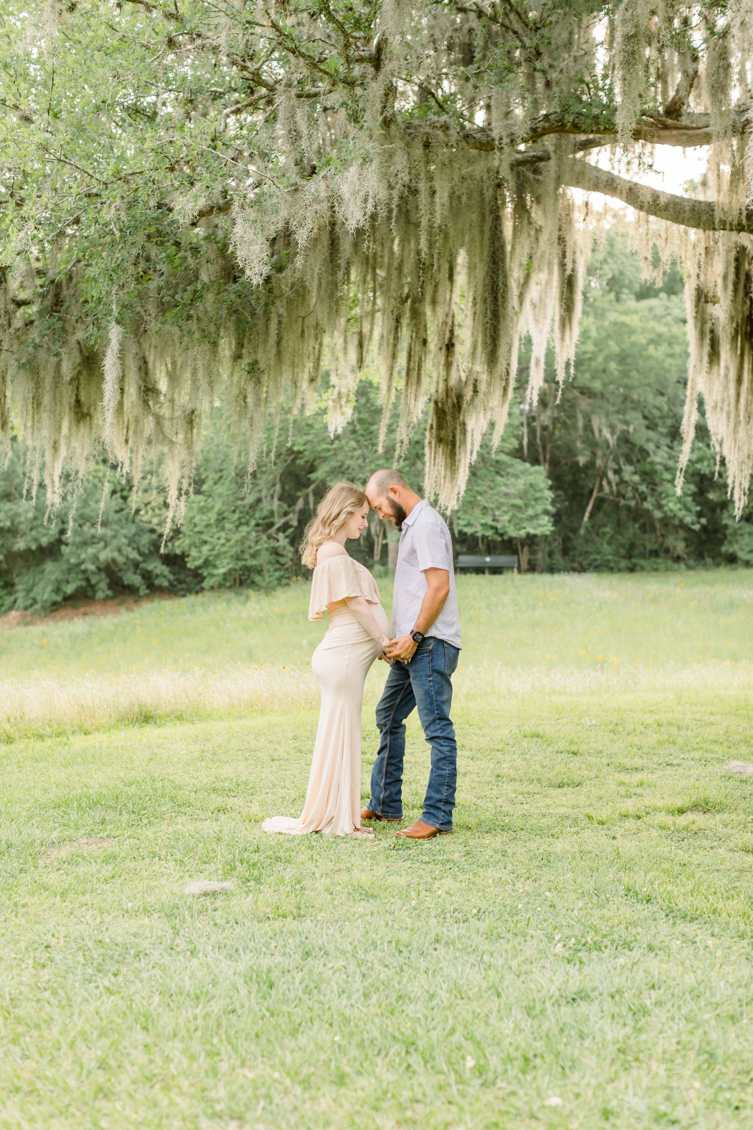 A tender moment captured between expectant parents beneath hanging Spanish moss in a garden.