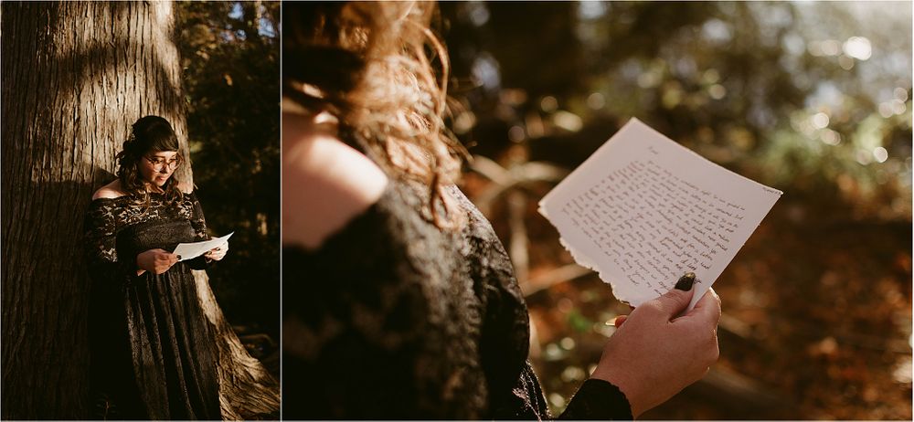 Artistic diptych showing person reading letter near tree trunk and closeup of handwritten note.