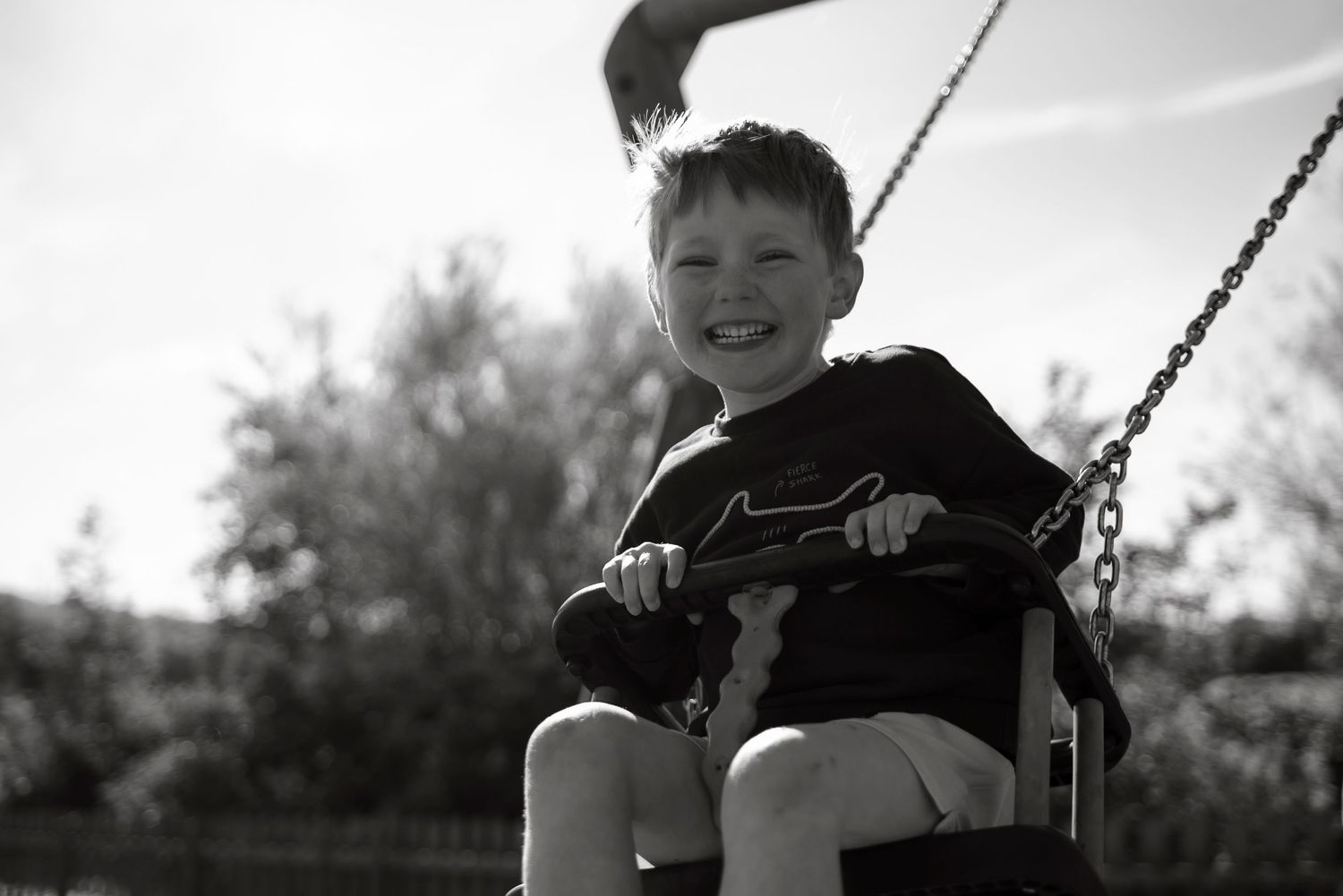 Happy little boy on a swing
