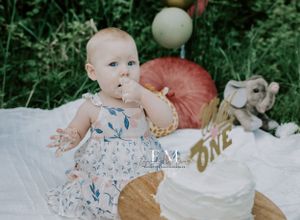 smash cake session auburn photographer