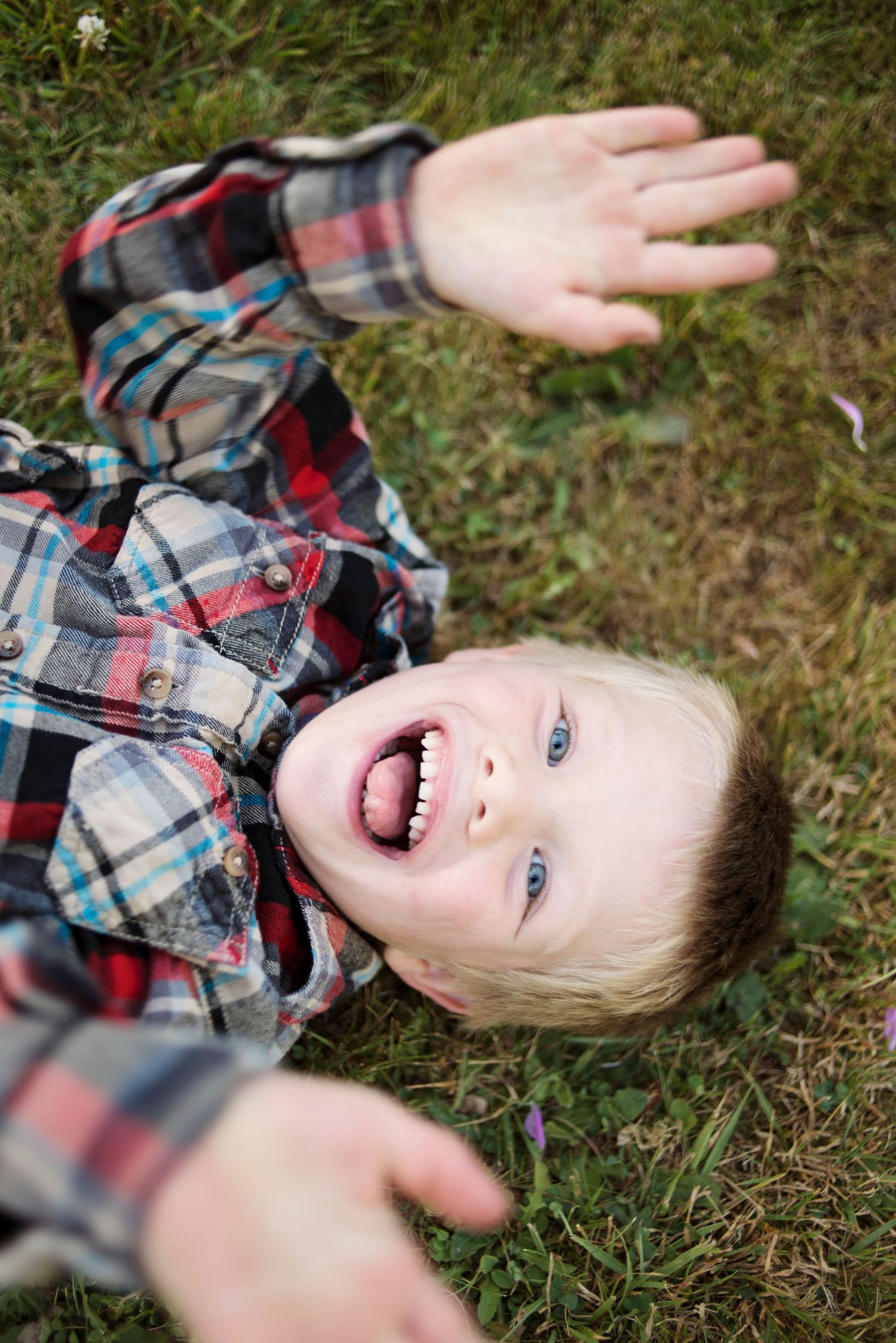 Little boy rolling in the grass
