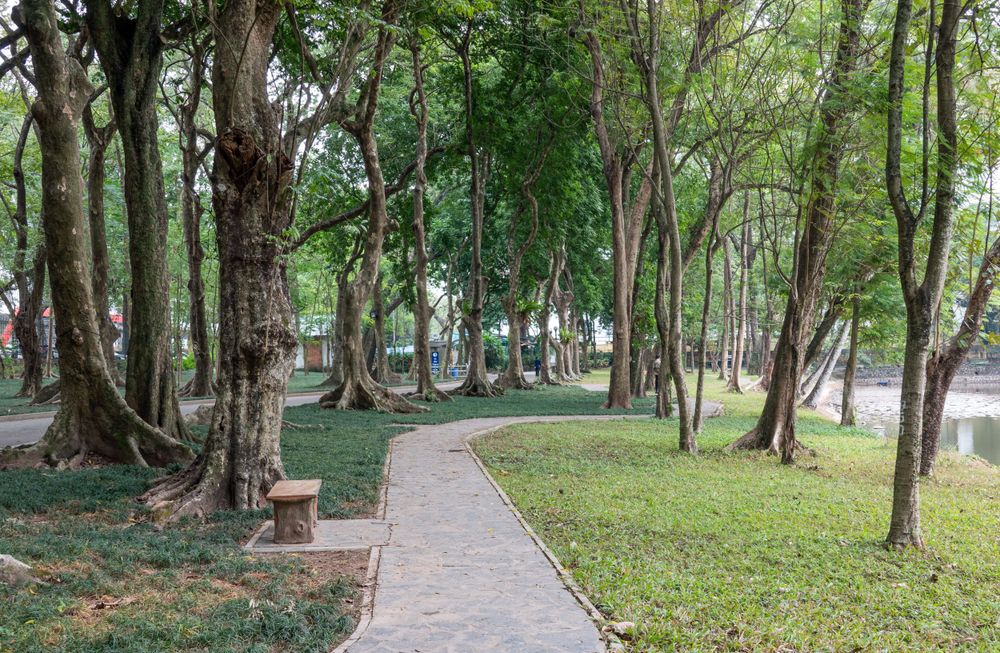 Winding stone pathway through a peaceful green park with tall trees.