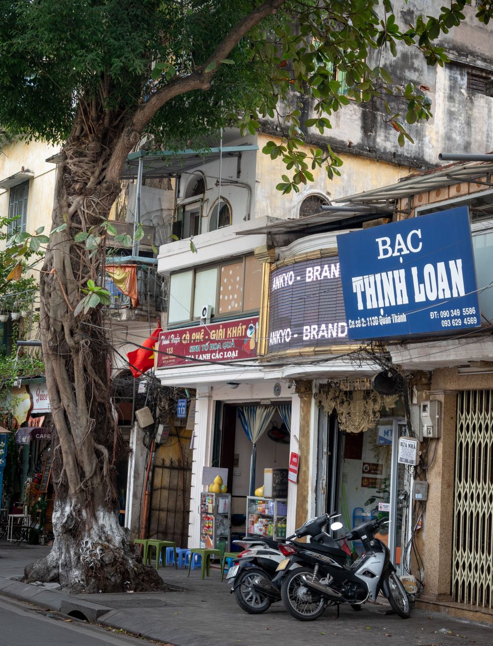 Traditional Vietnamese storefront with shop signs and parked motorcycles under large tree.