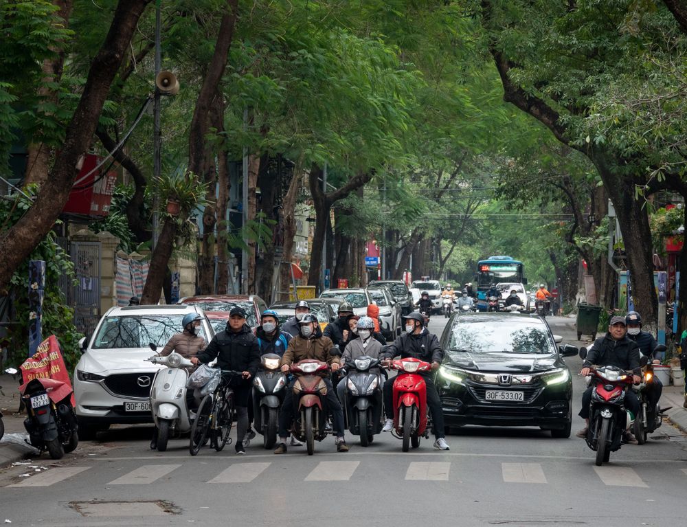 Busy street in Vietnam with motorcycles and cars lined up at an intersection under a canopy of green trees.