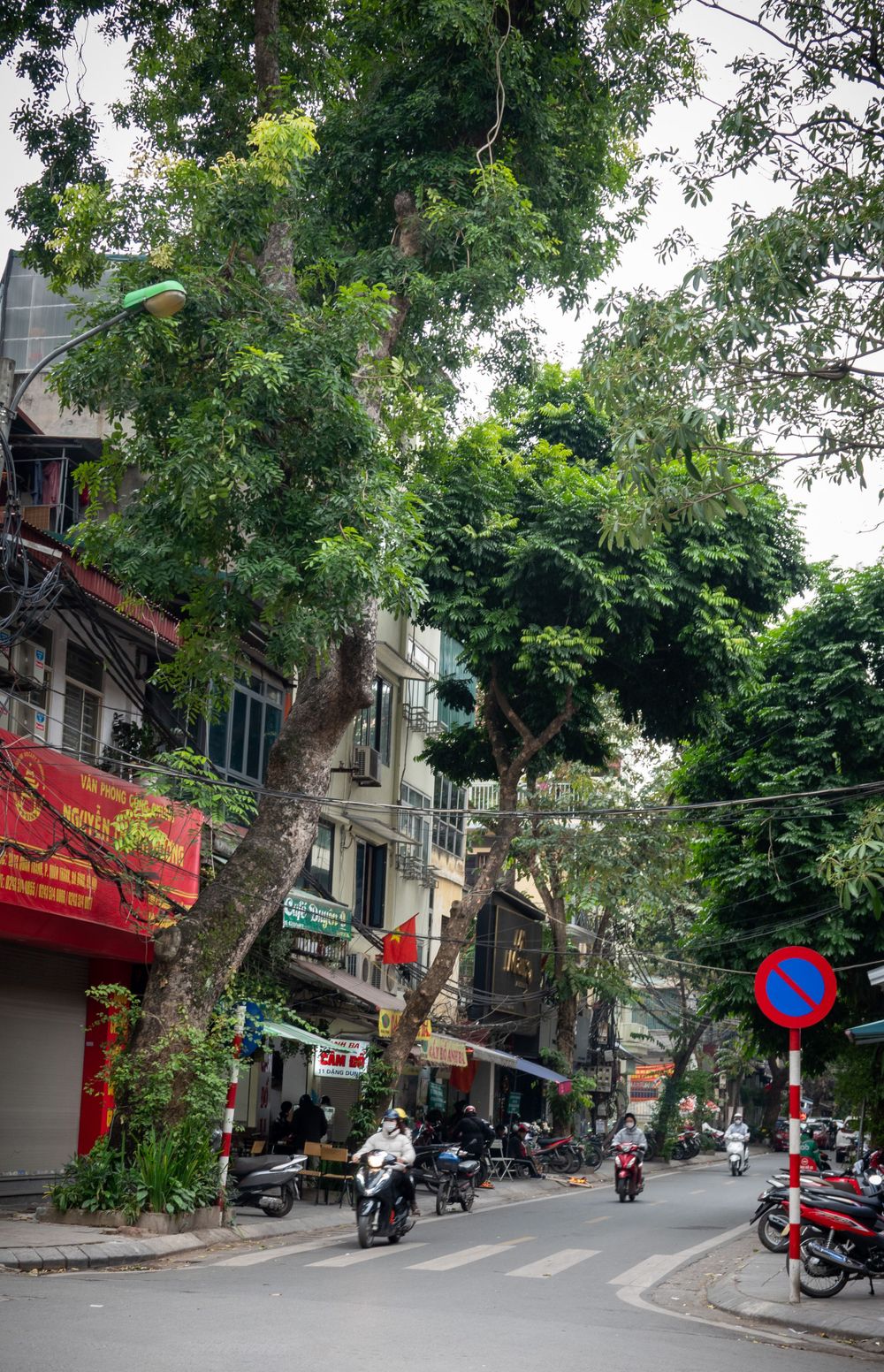 Tree-lined urban street in Vietnam with motorcycles and storefronts visible along the road.