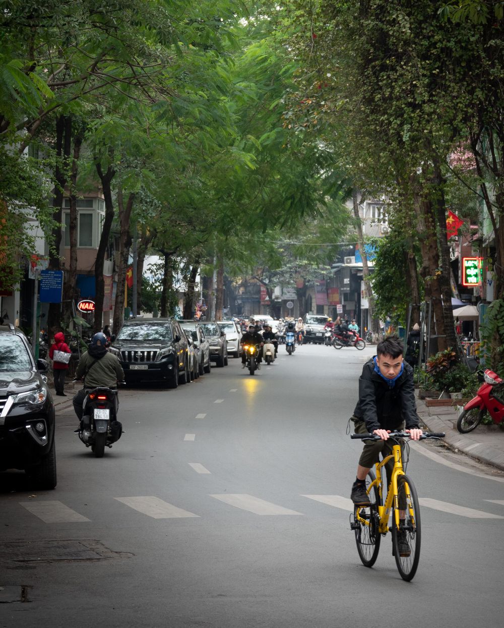 Tree-lined street with parked vehicles and cyclists sharing the road in an urban setting.