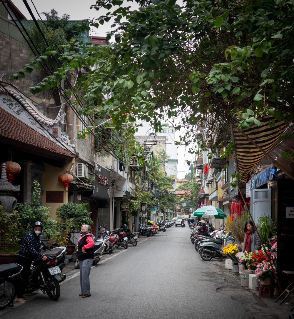 Narrow street lined with motorcycles, shops and overhanging trees in a Vietnamese neighborhood.