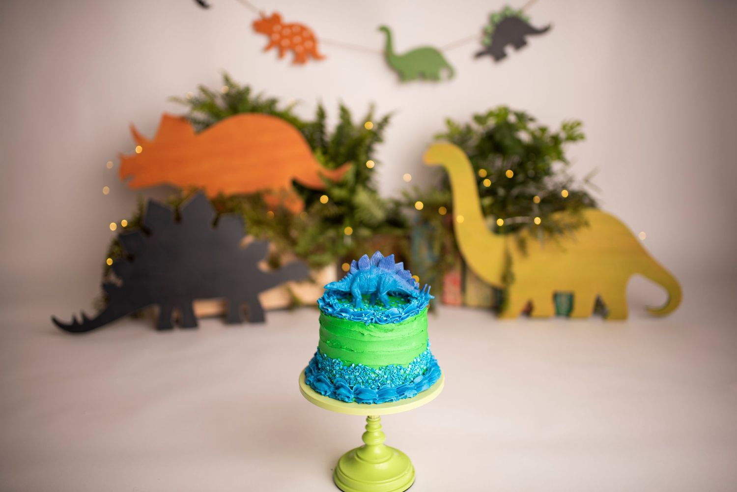 cake smash photography, first birthday photos in vermont