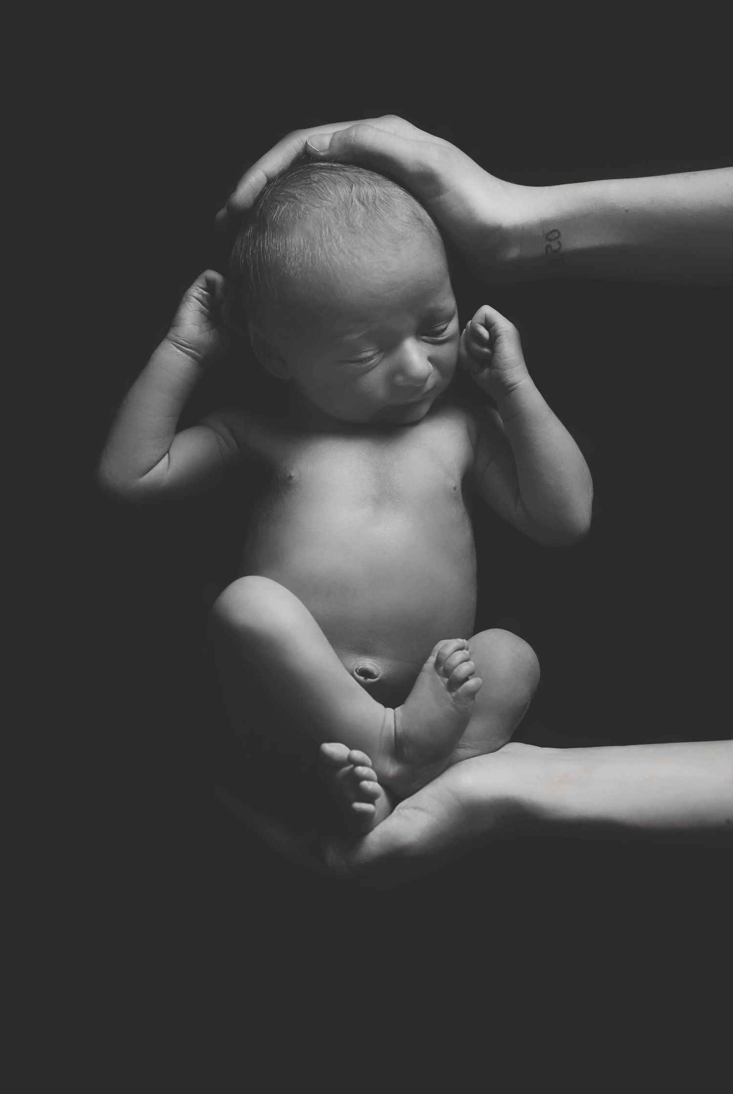 Timeless black and white newborn portraits