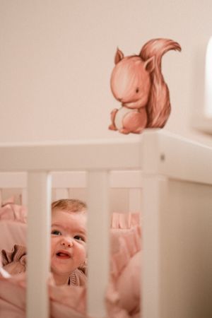 Pink nursery wall decorated with whimsical squirrel art above white crib bars with baby peeking through.