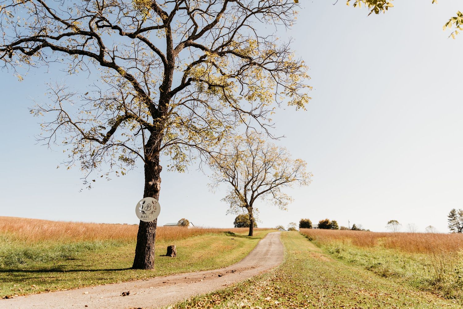 Bailey Barns Venue in Fairview, WV | Bailey Barns Venue in Fairmont, WV | Wedding Photographer in Fairmont WV